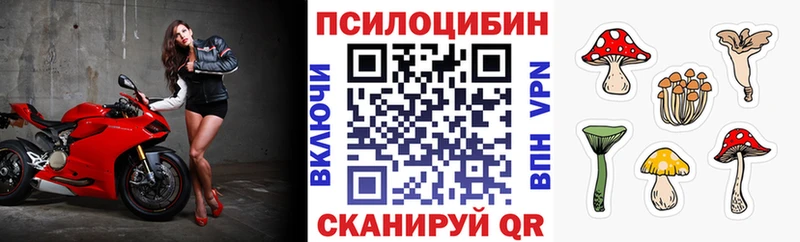 Галлюциногенные грибы мицелий  купить закладку  Богородск 